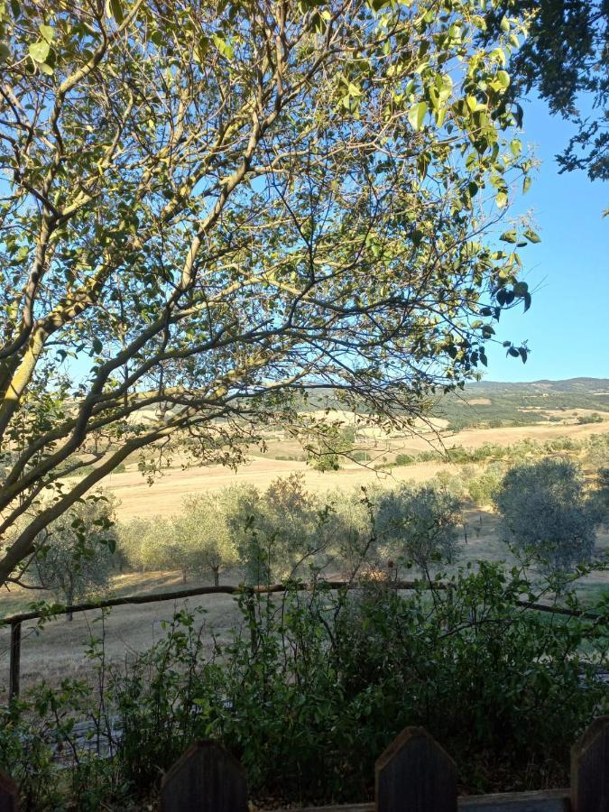 Agriturismo Podere Cherzo Cinigiano Dış mekan fotoğraf