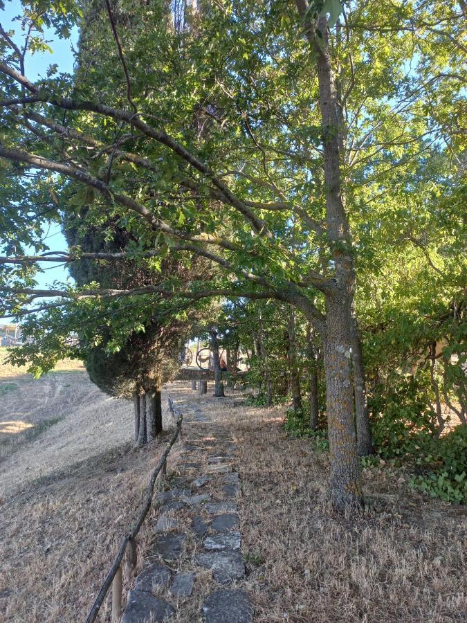 Agriturismo Podere Cherzo Cinigiano Dış mekan fotoğraf