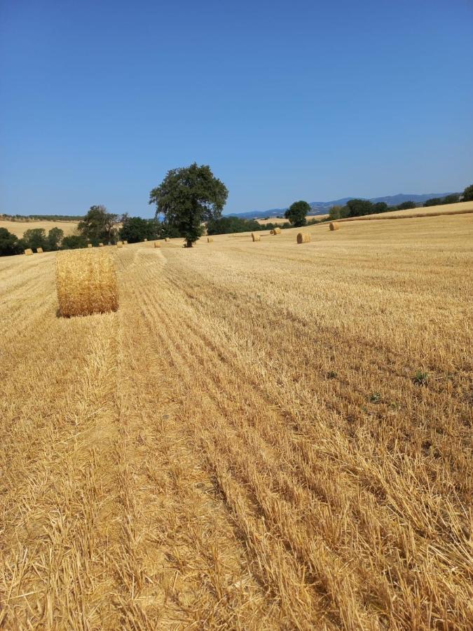 Agriturismo Podere Cherzo Cinigiano Dış mekan fotoğraf