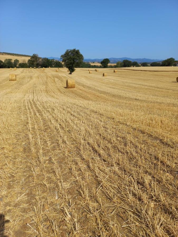 Agriturismo Podere Cherzo Cinigiano Dış mekan fotoğraf