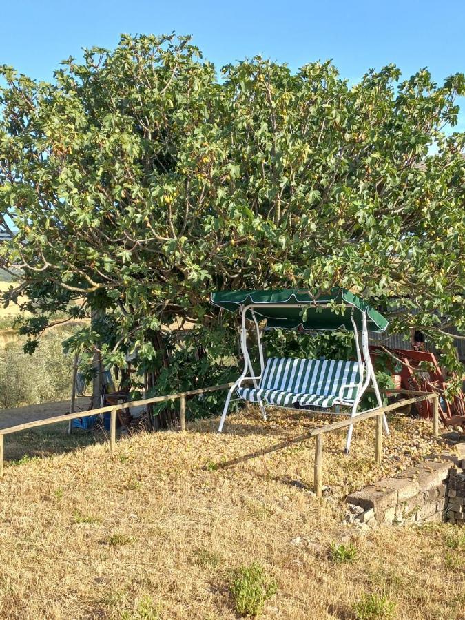 Agriturismo Podere Cherzo Cinigiano Dış mekan fotoğraf