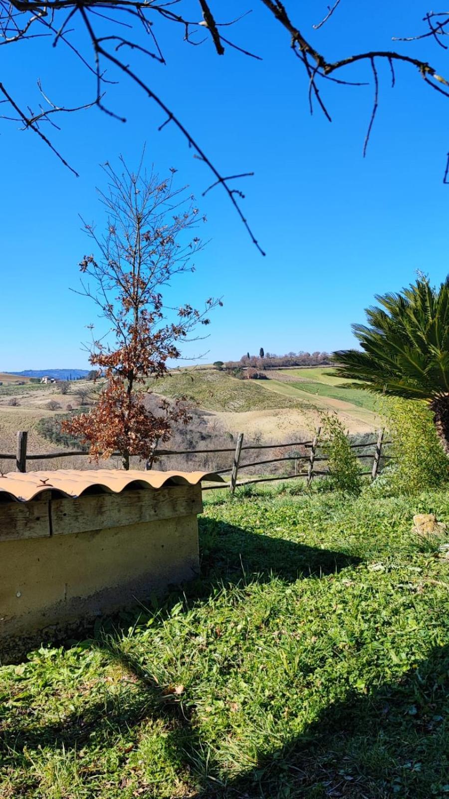 Agriturismo Podere Cherzo Cinigiano Dış mekan fotoğraf