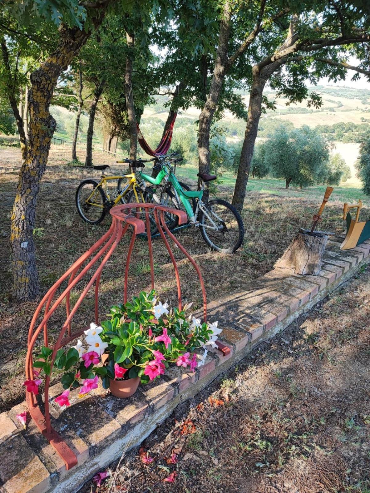 Agriturismo Podere Cherzo Cinigiano Dış mekan fotoğraf